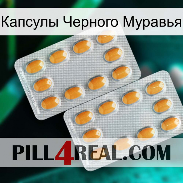 Капсулы Черного Муравья cialis4.jpg